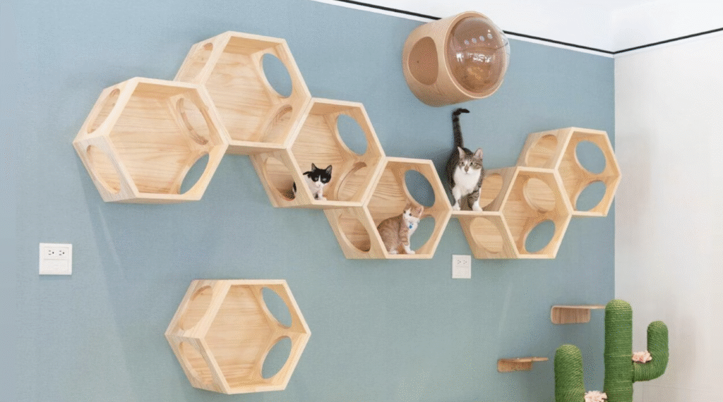 裝修前必看！5 個貓咪飼主最常後悔的設計