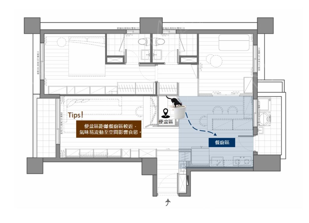 裝修前必看！5 個貓咪飼主最常後悔的設計